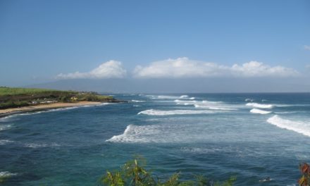 Maui : tour d’horizon