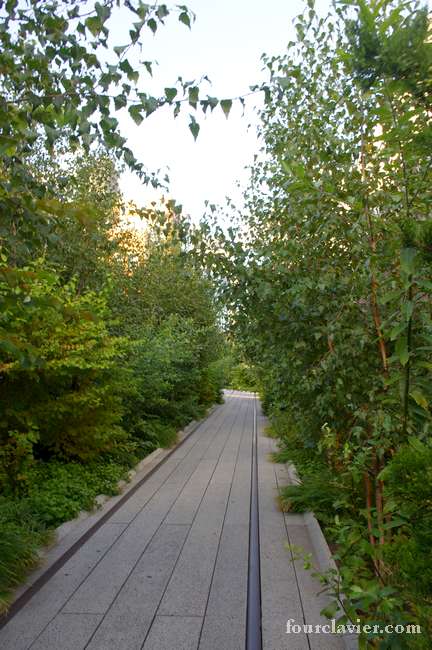 High Line - New-York